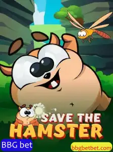 Descubra SavetheHamster: O Novo Fenômeno do BBG Bet